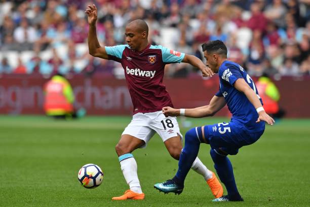 一些專家認 一些專家認